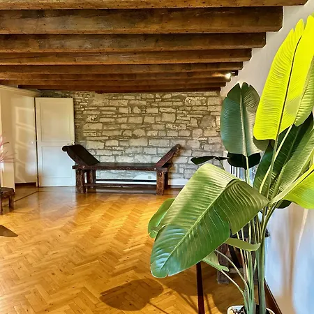 Magic Place - Namaste With Hills View - Citta Alta 아파트 *